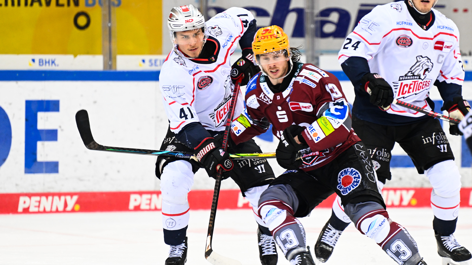 Pinguins Bremerhaven gg. Nürnberg Ice Tigers